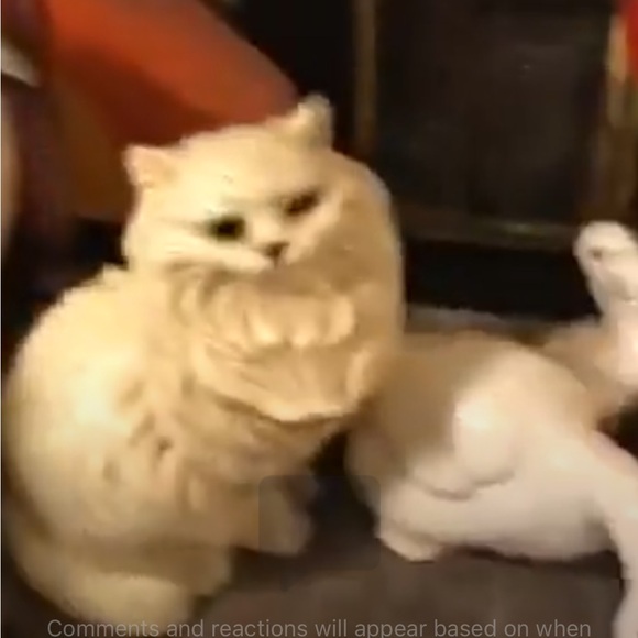 ISO: in search of my grandma’s vintage ceramic white Persian cat statue 🙏🏼 - Picture 12 of 15
